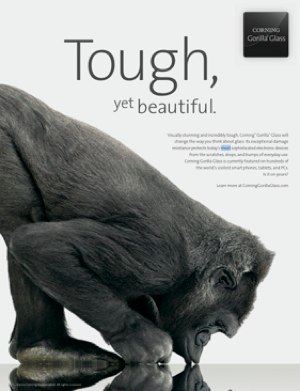 IPhoneBlog de Gorilla